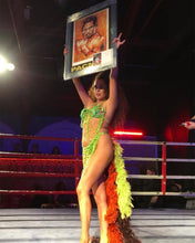 Load image into Gallery viewer, Green Beaded Two Piece Costume & Tail Feathers