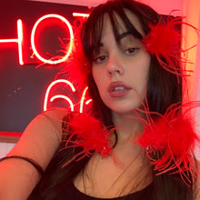 Load image into Gallery viewer, La Plume Hair Clips
